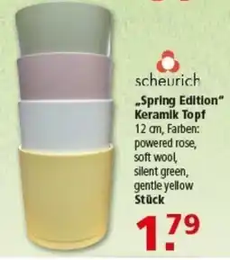 Multi Markt scheurich „Spring Edition" Keramik Topf Angebot