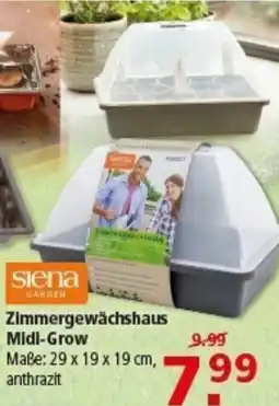 Multi Markt Siena GARDEN Zimmergewächshaus Midi-Grow Angebot