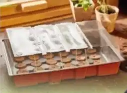 Multi Markt Siena GARDEN Anzuchtgewächshaus Angebot