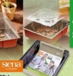 Multi Markt Siena GARDEN Mini- Gewächshaus Angebot