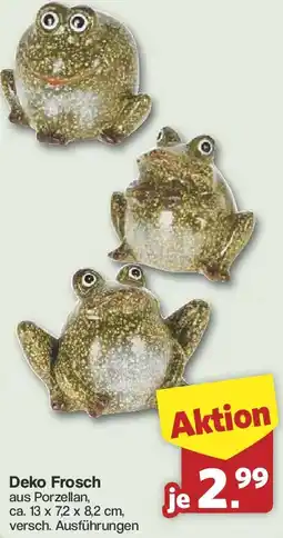 Famila Nord West Deko Frosch Angebot