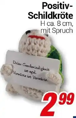 CENTERSHOP Positiv Schildkröte Angebot