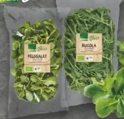 E-Center Edeka Bio Feldsalat Angebot