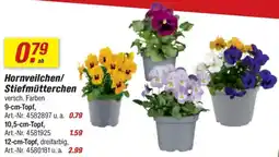 toom Baumarkt Hornveilchen/ Stiefmütterchen Angebot
