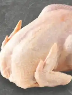 E-Center Suppenhühner Angebot