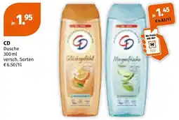 Müller CD Dusche Angebot