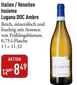 Galeria Markthalle Italien / Venetien Insieme Lugana DOC Ambre Angebot