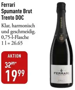 Galeria Markthalle Ferrari Spumante Brut Trento DOC Angebot