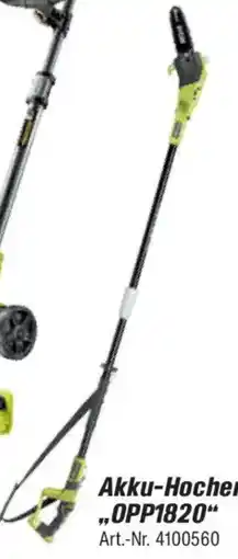 toom Baumarkt RYOBI Akku-Hochentaster 0PP1820 Angebot