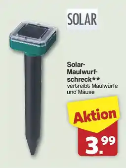 Famila Nord West SOLAR Solar Maulwurfschreck Angebot