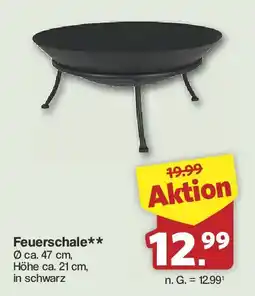 Famila Nord West Feuerschale Angebot