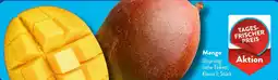 Aldi Süd Mango Angebot
