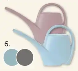 ROLLER Giesskanne Angebot