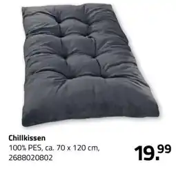 ROLLER Chillkissen Angebot