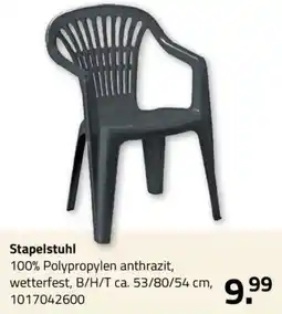 ROLLER Stapelstuhl Angebot