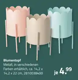 ROLLER Blumentopf Angebot