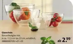 ROLLER Glasschale Angebot