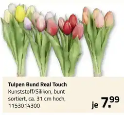 ROLLER Tulpen Bund Real Touch Angebot
