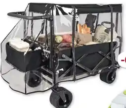 ROLLER Bollerwagen Angebot