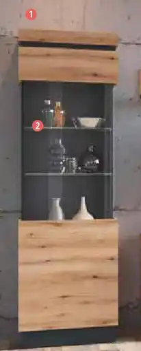 Zurbrüggen Z2 Vitrine Angebot