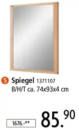 Zurbrüggen Spiegel Angebot