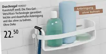 Zurbrüggen Duschregal Angebot