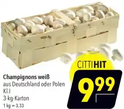CITTI Markt Champignons weiß Angebot