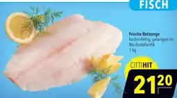 CITTI Markt Frische Rotzunge Angebot