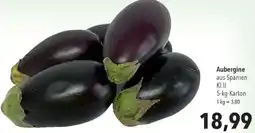 CITTI Markt Aubergine Angebot