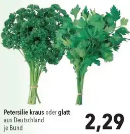 CITTI Markt Petersilie kraus oder glatt Angebot