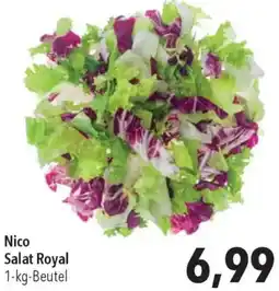 CITTI Markt Nico Salat Royal Angebot