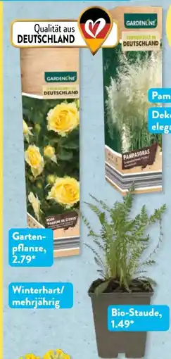 Aldi Süd Gardenline Bio-Staude Angebot