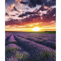 Netto Marken-Discount Marmony 500W Infrarot-Heizung Motiv Lavendel Angebot