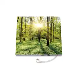 Netto Marken-Discount Marmony 500W Infrarot-Heizung Motiv Wald Angebot