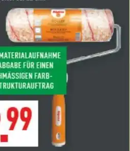 Marktkauf Alpina Roller Angebot