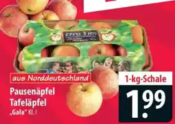 Famila Nord Ost Pausenäpfel Tafeläpfel „Gala“ Angebot