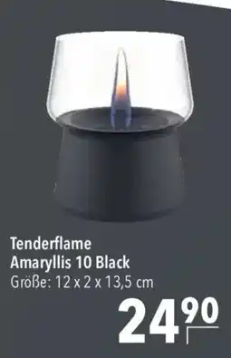 CITTI Markt Tenderflame Amaryllis 10 Black Angebot