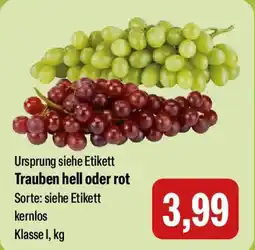 Feneberg Trauben hell oder rot Angebot