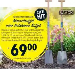 CITTI Markt Spatenschmiede Baack Marschriffel oder Holsteiner Rüffel Angebot