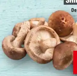 Handelshof Shiitake Pilze Angebot
