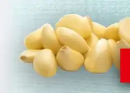 Handelshof Frischer Knoblauchzehen Angebot