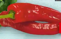 Handelshof Rote Spitzpaprika Angebot