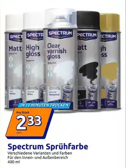 Action Spectrum Sprühfarbe Angebot