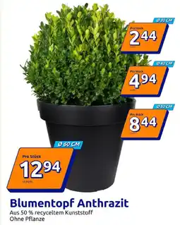 Action Blumentopf anthrazit ø 60 cm Angebot