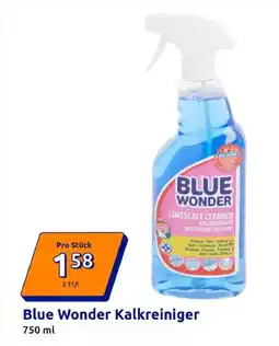 Action Blue Wonder Kalkreiniger Angebot