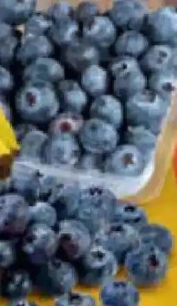 Netto Marken-Discount Heidelbeeren Angebot