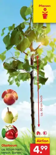 Netto Marken-Discount Obstbaum Angebot