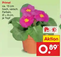 Netto Marken-Discount Primel Angebot