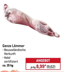 METRO Ganze Lämmer Angebot