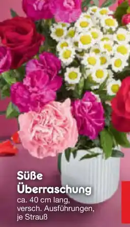 Netto Marken-Discount SuBe Überraschung Angebot